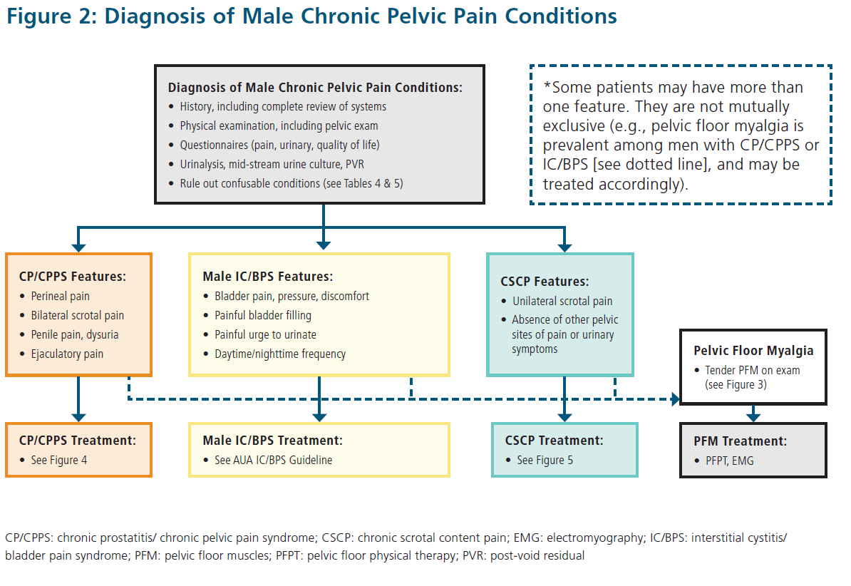 diagnosis-and-management-of-male-chronic-pelvic-pain-chronic